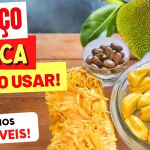 7 Incríveis BENEFÍCIOS do CAROÇO DE JACA e COMO USAR - Receitas e Dicas