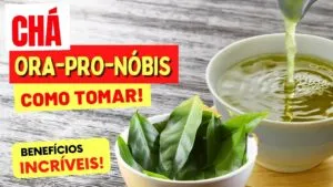 CHÁ de ORA-PRO-NÓBIS para Inflamação, Colesterol, Imunidade e mais - Benefícios e Como Usar