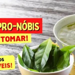 CHÁ de ORA-PRO-NÓBIS para Inflamação, Colesterol, Imunidade e mais - Benefícios e Como Usar