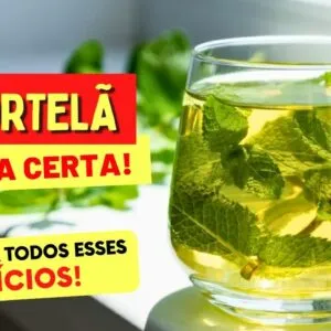 CHÁ DE HORTELÃ - BENEFÍCIOS MARAVILHOSOS para a Saúde - Como Fazer e Tomar