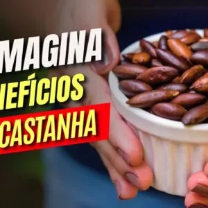 Você Não Imagina que ESSA CASTANHA Possa Fazer TUDO ISSO! (Como Usar e Benefícios)