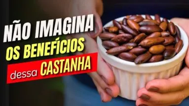 Você Não Imagina que ESSA CASTANHA Possa Fazer TUDO ISSO! (Como Usar e Benefícios)