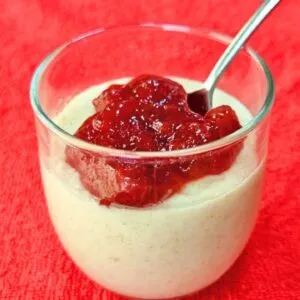 IOGURTE CASEIRO SEM LEITE E AÇÚCAR! Fácil, Rápido e Gostoso (Prebiótico, Intestino, Colesterol,...)