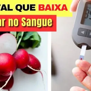 Vegetal que DERRUBA O AÇÚCAR NO SANGUE, Ajuda FÍGADO GORDO, PRESSÃO e mais! (Receitas e Dicas)