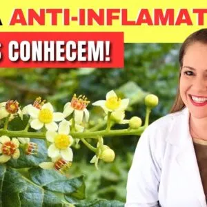 A Erva SUPER ANTI-INFLAMATÓRIA que POUCOS CONHECEM! Como Usar e Dicas