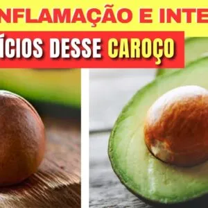9 Benefícios do CAROÇO DE ABACATE (Dor, Inflamação, Intestino e mais) - Receitas e Como Usar