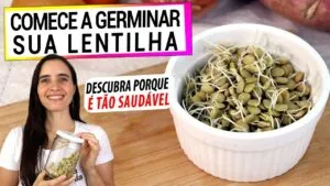 POR QUE VOCÊ DEVE GERMINAR SUA LENTILHA! DESCUBRA OS BENEFÍCIOS E COMO FAZER DO JEITO CERTO!