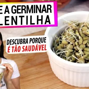POR QUE VOCÊ DEVE GERMINAR SUA LENTILHA! DESCUBRA OS BENEFÍCIOS E COMO FAZER DO JEITO CERTO!