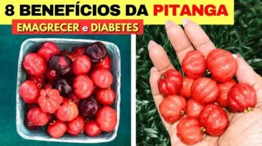 8 Incríveis BENEFÍCIOS DA PITANGA e Como Usar (Emagrecer, Diabetes, Intestino,...) - Vai Amar!