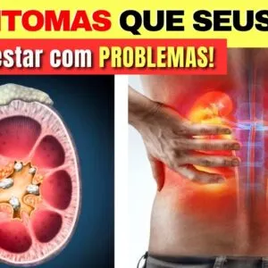 10 SINTOMAS que SEUS RINS PODEM NÃO ESTAR BEM! (sinais de insuficiência renal)