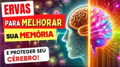 9 ERVAS para TURBINAR SUA MEMÓRIA (e proteger seu cérebro!)