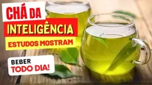 É este o CHÁ DA INTELIGÊNCIA? Estudos mostram o que acontece a quem o bebe todos os dias