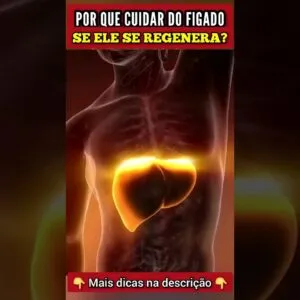 O FÍGADO se REGENERA MESMO? Por que CUIDAR dele?