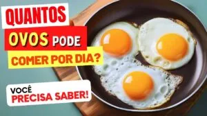 QUANTOS OVOS PODE COMER POR DIA?