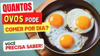QUANTOS OVOS PODE COMER POR DIA?