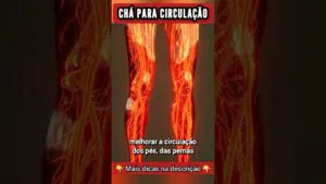 CHÁ para CIRCULAÇÃO DO SANGUE