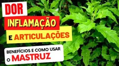 MASTRUZ PARA DOR, INFLAMAÇÃO E ARTICULAÇÕES - Benefícios e Como Usar