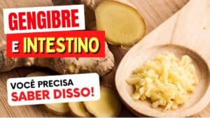 GENGIBRE e INTESTINO - Todos DEVERIAM SABER - Vai adorar!