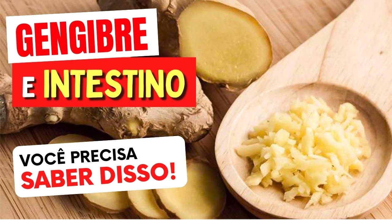 GENGIBRE e INTESTINO – Todos DEVERIAM SABER – Vai adorar! | Saudável ...