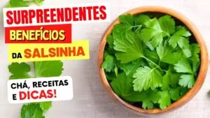 Benefícios da SALSINHA que vão te SURPREENDER - Como Usar, Chá, Receitas e Dicas