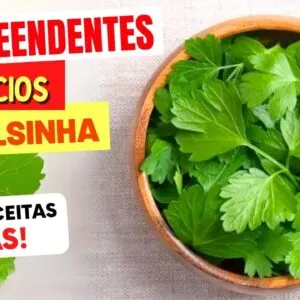 Benefícios da SALSINHA que vão te SURPREENDER - Como Usar, Chá, Receitas e Dicas