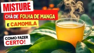 Misture CHÁ de FOLHA DE MANGA com CAMOMILA e Veja O QUE ACONTECE com Você! (USE ASSIM)