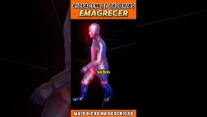 Emagreça com a Ciclagem de Calorias