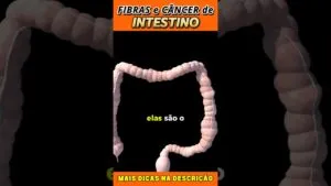Fibras e Câncer de Intestino