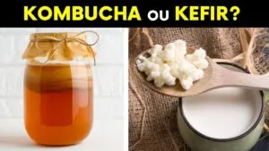 KEFIR ou KOMBUCHA: Qual é MELHOR? Como Fazer em Casa?