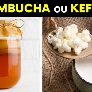 KEFIR ou KOMBUCHA: Qual é MELHOR? Como Fazer em Casa?