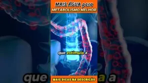 Mais Água para um Metabolismo melhor