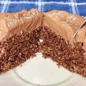 Bolinho de 3 MIN SAUDÁVEL e LOW CARB! Sem Farinha, Açúcar, Leite e Manteiga - Fácil e Fofinho