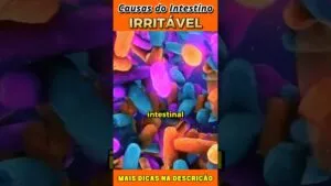 Causas da Síndrome do Intestino Irritável