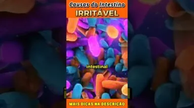 Causas da Síndrome do Intestino Irritável