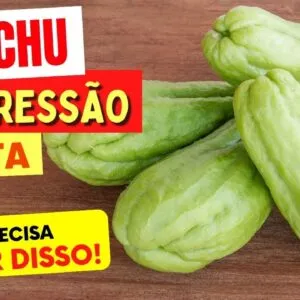 CHUCHU para PRESSÃO ALTA - Benefícios que Você vai AMAR - USE ASSIM!