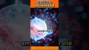 Inhame e Imunidade