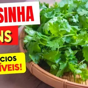 SALSINHA e RINS - Benefícios Incríveis e Como Usar - Você Vai Amar!