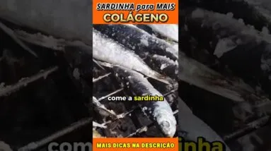 Sardinha para Mais Colágeno - VALIDAR