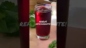 Se fosse VOCÊ, beberia isso no lugar do REFRI! Mais saudável, fácil, sem açúcar! Ultra refrescante!