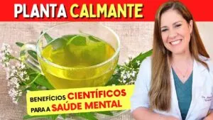 A PLANTA CALMANTE e seus BENEFÍCIOS Científicos para a SAÚDE MENTAL e SONO