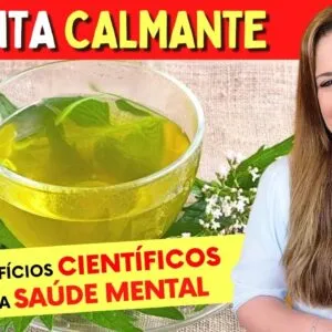 A PLANTA CALMANTE e seus BENEFÍCIOS Científicos para a SAÚDE MENTAL e SONO