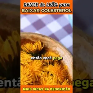 Baixar o Colesterol com Dente de Leão [CHÁS PARA BAIXAR COLESTEROL]