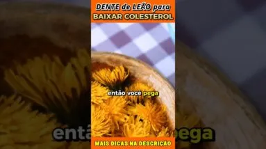 Baixar o Colesterol com Dente de Leão [CHÁS PARA BAIXAR COLESTEROL]
