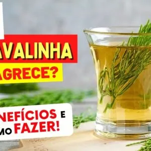 Chá para DESINCHAR, RINS, CORAÇÃO e mais - Benefícios do CHÁ DE CAVALINHA e Dicas
