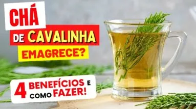 Chá para DESINCHAR, RINS, CORAÇÃO e mais - Benefícios do CHÁ DE CAVALINHA e Dicas