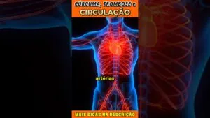 🧡 Cúrcuma Ajuda na Circulação? Veja o Que a Ciência Diz!
