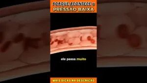 PRESSÃO BAIXA: Entenda as CAUSAS