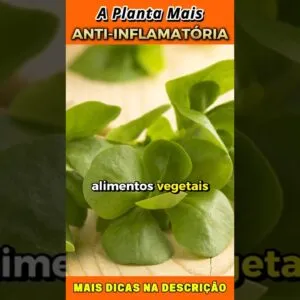 🌿 A PLANTA MAIS PODEROSA Contra Inflamações (Poucos Conhecem!)