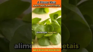 🌿 A PLANTA MAIS PODEROSA Contra Inflamações (Poucos Conhecem!)