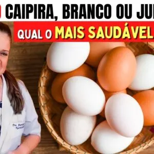 Ovo Caipira, Branco ou Jumbo: Qual é o MAIS MAIS SAUDÁVEL de Verdade? (Você Vai se Surpreender!)